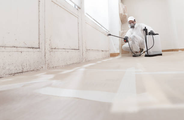 24/7 Emergency Attic Mold Removal experts in Belmont, VA